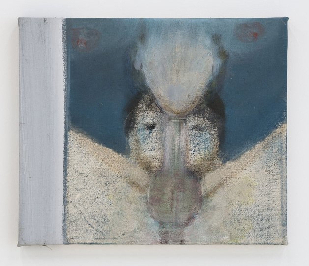 close view of genitals