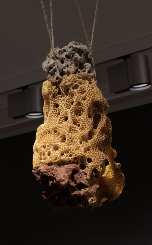 honeycomb-covered rocks