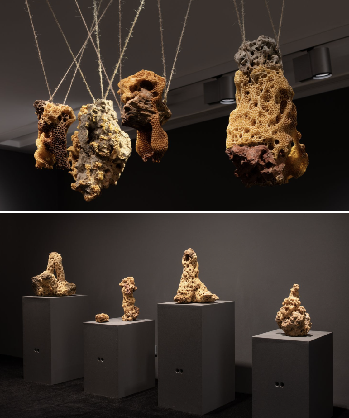 honeycomb-covered rocks. Above, suspended on strings; below, displayed on plinths 