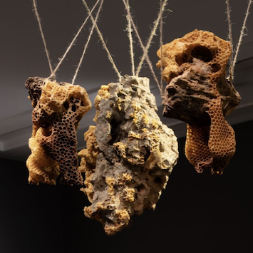 Detail of installation by Charbel Samuel Aoun, 2024.  Rocks suspended on jute string. 
